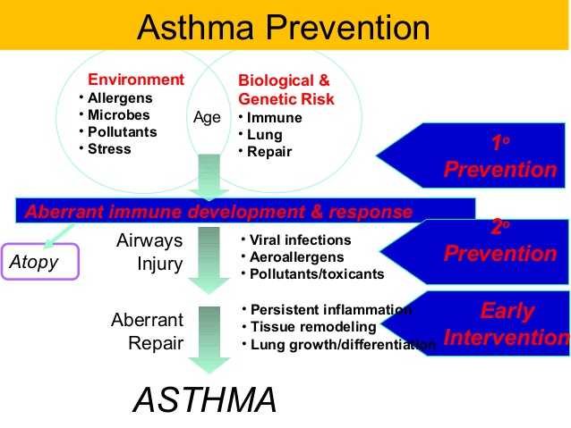 asthma-prevention-community-medicine-21-638
