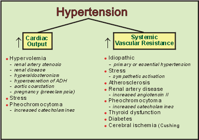 Image result for causes of hypertension